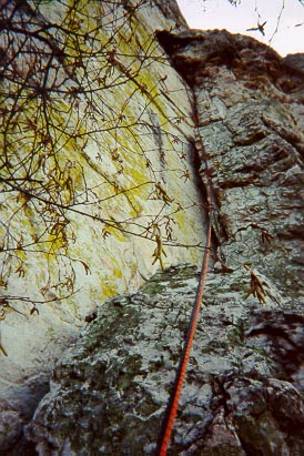 Leading Green Wall (5.7)