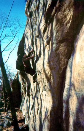Todd on Maria Redirect (5.11)