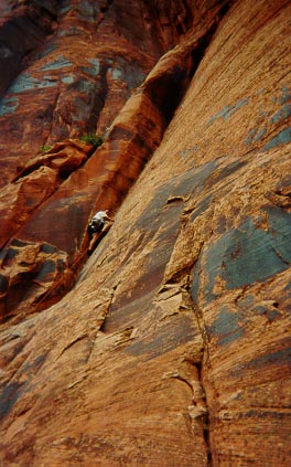 Geoff on Seibernetics (5.8) at Wall Street