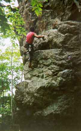 Todd leading Pats' Blue Ribbon (5.12)
