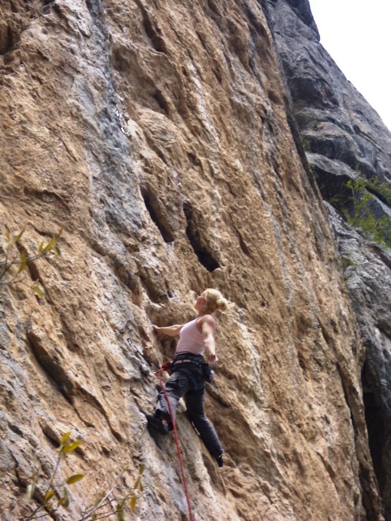 Christine leading Pangea
