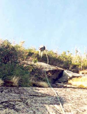 Hensley rapping out of the jungle