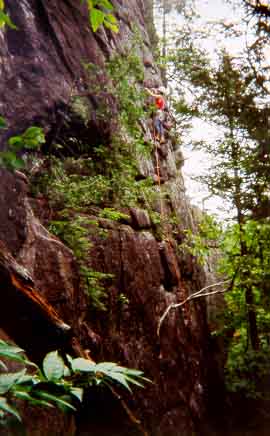 Todd leading Lichenbrau Dark (5.9)