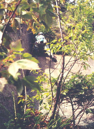 the dirty corner above the tree island belay