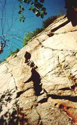 Me leading Mister Roger's Neighborhood (5.8)