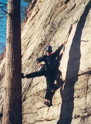Anne using the tree on City Lights (5.7)