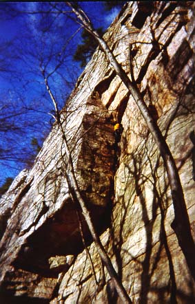 Greg Sadowy leading Horseman (5.5)