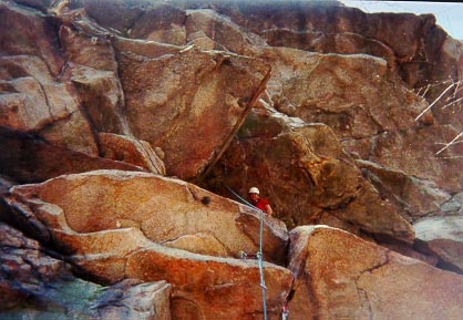 Toddleading Crass (5.10)