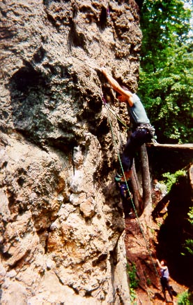 Todd leading Lies and Propaganda (5.8+)